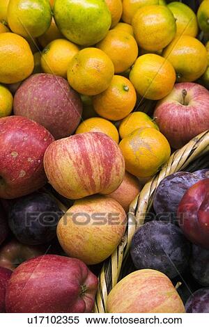 Variety of fresh fruit View Large Photo Image Stock Photography - Variety of fresh fruit. Fotosearch