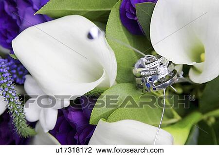 Wedding rings in flowers View Large Photo Image Stock Image - Wedding rings in flowers. Fotosearch