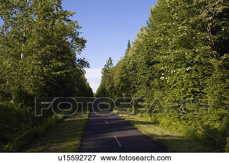 Well-maintained country road, lined with trees View Large Photo Image Stock Photo - Well-maintained country road, lined with trees. Fotosearch