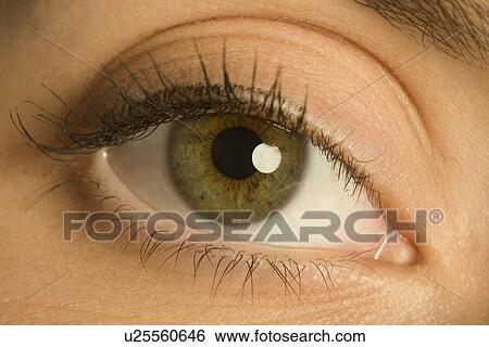 Stock Photograph - Woman's eye. Fotosearch