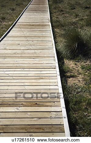 Wooden boardwalk View Large Photo Image Stock Image - Wooden boardwalk. Fotosearch