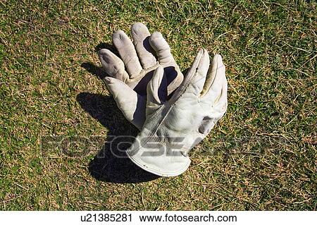 Work gloves tossed on a lawn View Large Photo Image Stock Image - Work gloves tossed on a lawn. Fotosearch