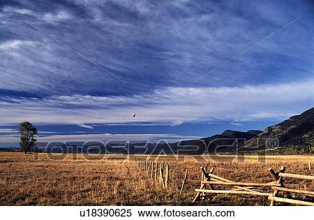 Wyoming, USA; Hot air balloon flying across the Grand Tetons View Large Photo Image Stock Photography - Wyoming, USA; Hot air balloon flying across the Grand Tetons. Fotosearch