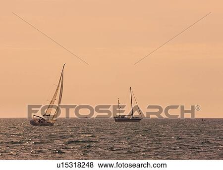 Yachts at sea View Large Photo Image Stock Photo - Yachts at sea . Fotosearch
