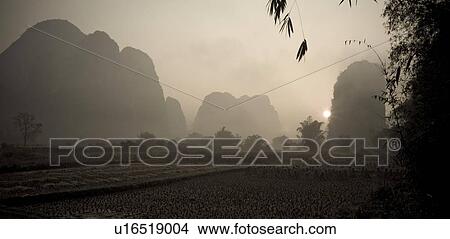 Picture - Yangshuo county, China, Asia; karst peaks and rice fields. Fotosearch