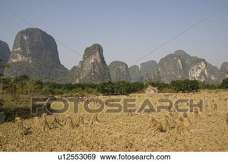 Stock Photo - Yangshuo county, China, Asia; rice fields. Fotosearch
