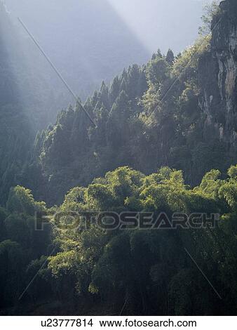 Yangshuo, Guilin, Guangxi Province, China; sunrays on trees View Large Photo Image Picture - Yangshuo, Guilin, Guangxi Province, China; sunrays on trees. Fotosearch