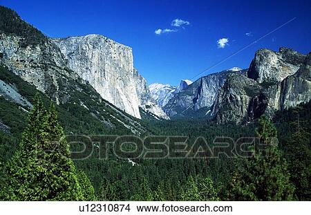 Picture - Yosemite National Park, Sierra Nevada, California, USA; Forest and mountains. Fotosearch