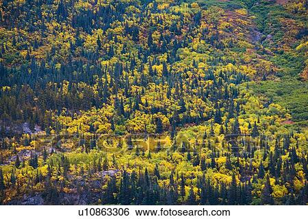 Yukon, Canada View Large Photo Image Stock Photograph - Yukon, Canada. Fotosearch