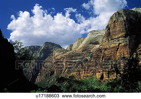 Stock Image - Zion National Park, Utah, USA; Navajo Sandstone. Fotosearch