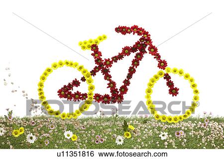 A bike made out of flowers set on grass View Large Photo Image Stock Photograph - A bike made out of flowers set on grass. Fotosearch