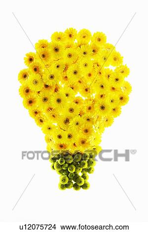 A light bulb made out of flowers View Large Photo Image Picture - A light bulb made out of flowers. Fotosearch