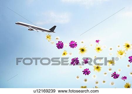 A plane emitting flowers View Large Photo Image Stock Photo - A plane emitting flowers. Fotosearch