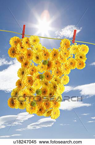 Stock Photography - A shirt made out of flowers on a line. Fotosearch