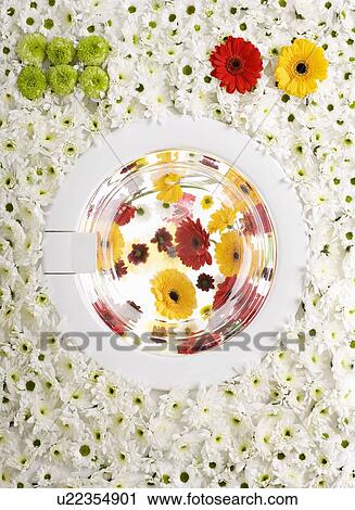 Stock Image - A washing machine made of flowers. Fotosearch
