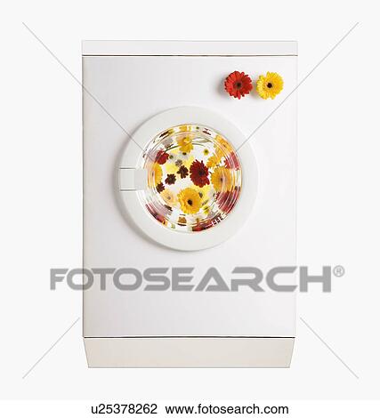 Stock Image - A washing machine with flowers inside. Fotosearch