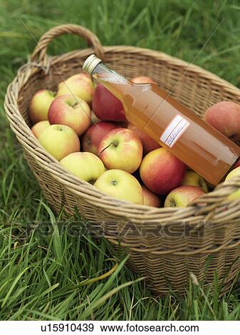 Apples in basket with bottle of juice View Large Photo Image Stock Photo - Apples in basket with bottle of juice. Fotosearch