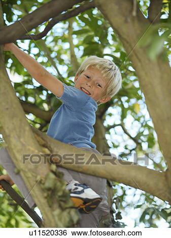 Stock Photograph - Boy, 7 playing in tree. Fotosearch