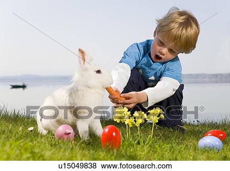 boy feeding bunny carrot, easter eggs View Large Photo Image Stock Photo - boy feeding bunny carrot, easter eggs. Fotosearch