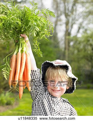 Boy holding a carrot bunch View Large Photo Image Stock Photography - Boy holding a carrot bunch. Fotosearch