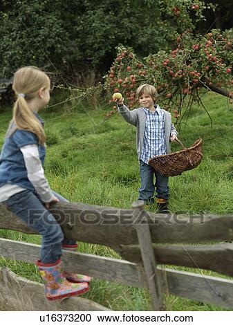 Boy showing apple to girl on fence View Large Photo Image Stock Image - Boy showing apple to girl on fence. Fotosearch
