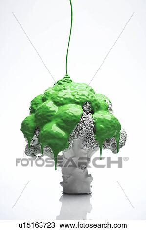 Stock Image - broccoli stem with green. Fotosearch