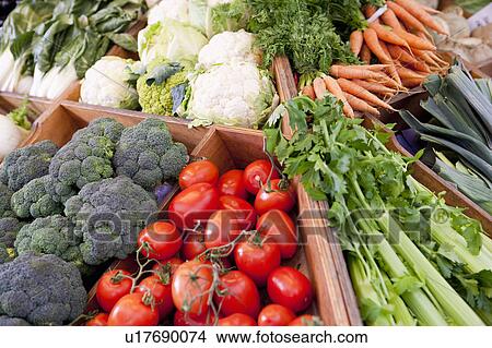 bunch of fresh vegetables View Large Photo Image Picture - bunch of fresh vegetables. Fotosearch