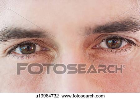 Close Up Mans Eyes View Large Photo Image Stock Image - Close Up Mans Eyes. Fotosearch