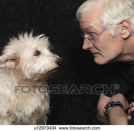 Dog and man looking at each other View Large Photo Image Picture - Dog and man looking at each other. Fotosearch