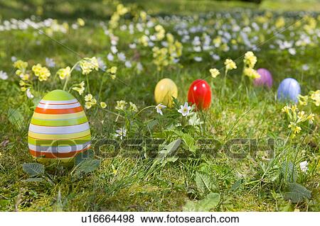 Stock Photo - easter eggs, spring flowers in grass. Fotosearch