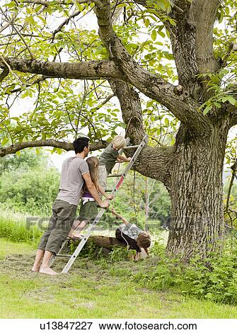Father With Kids Tree-climbing View Large Photo Image Stock Photo - Father With Kids Tree-climbing. Fotosearch
