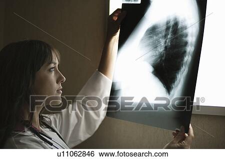 Female Doctor looking at x-ray View Large Photo Image Stock Photograph - Female Doctor looking at x-ray. Fotosearch