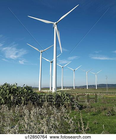Picture - Field of wind turbines. Fotosearch