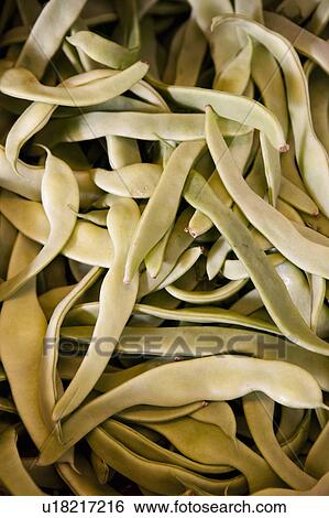 fresh green beans View Large Photo Image Stock Photograph - fresh green beans. Fotosearch