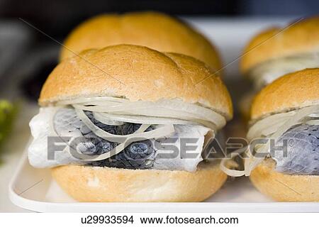 german fish sandwich View Large Photo Image Picture - german fish sandwich. Fotosearch