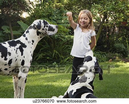 Girl holding biscuit for dogs View Large Photo Image Stock Image - Girl holding biscuit for dogs. Fotosearch