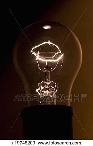 Lit filament of incandescent bulb View Large Photo Image Stock Photo - Lit filament of incandescent bulb. Fotosearch