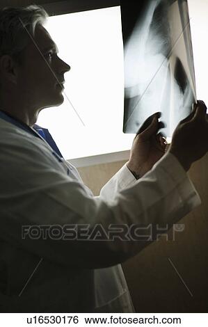 Male Doctor looking at x-ray View Large Photo Image Stock Photograph - Male Doctor looking at x-ray. Fotosearch