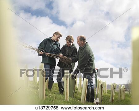 Man And Children Discussing Saplings View Large Photo Image Stock Photo - Man And Children Discussing Saplings. Fotosearch