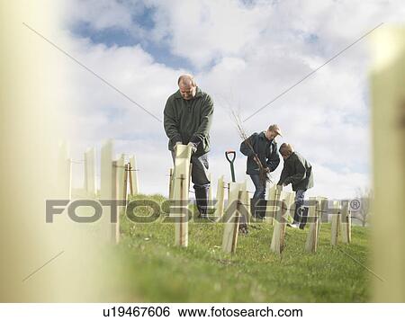 Man And Children Planting Trees View Large Photo Image Stock Photograph - Man And Children Planting Trees. Fotosearch
