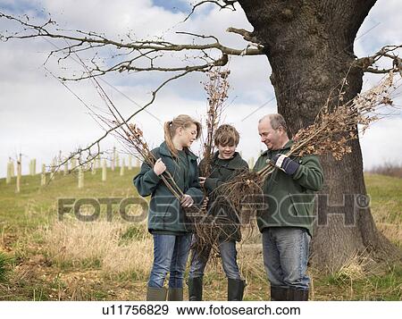 Man And Children With Young Trees View Large Photo Image Stock Photo - Man And Children With Young Trees. Fotosearch