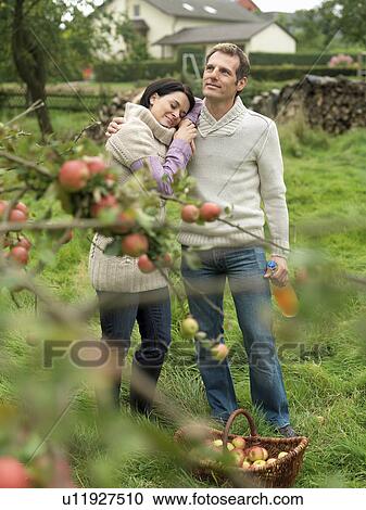 Man and woman picking apples cuddling View Large Photo Image Stock Image - Man and woman picking apples cuddling. Fotosearch