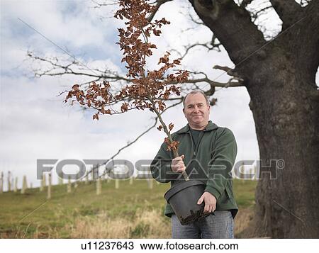 Man Holding Young Tree View Large Photo Image Stock Image - Man Holding Young Tree. Fotosearch