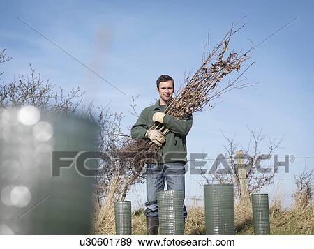 Man Holding Young Trees View Large Photo Image Stock Photo - Man Holding Young Trees. Fotosearch