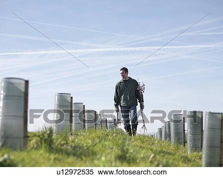 Stock Photography - Man In Field With Saplings. Fotosearch