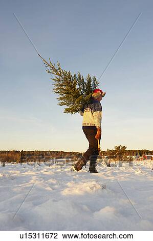 Man with Christmas tree in snow View Large Photo Image Stock Image - Man with Christmas tree in snow. Fotosearch