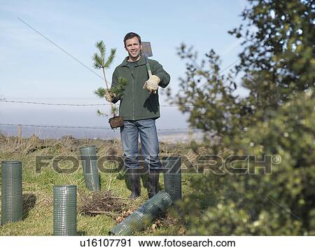 Man With Young Tree And Spade View Large Photo Image Stock Image - Man With Young Tree And Spade. Fotosearch