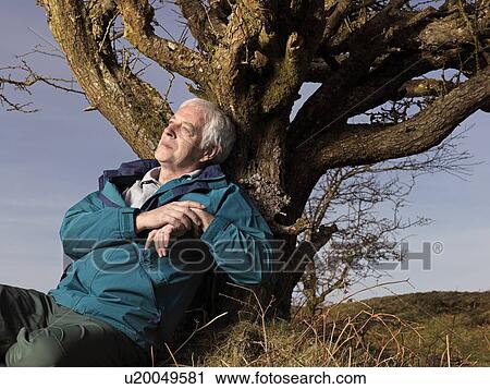 mature man leaning against tree View Large Photo Image Stock Image - mature man leaning against tree. Fotosearch