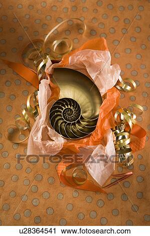 Party gift being unwrapped View Large Photo Image Stock Image - Party gift being unwrapped. Fotosearch