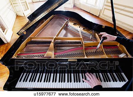 Piano being tuned View Large Photo Image Stock Photo - Piano being tuned. Fotosearch